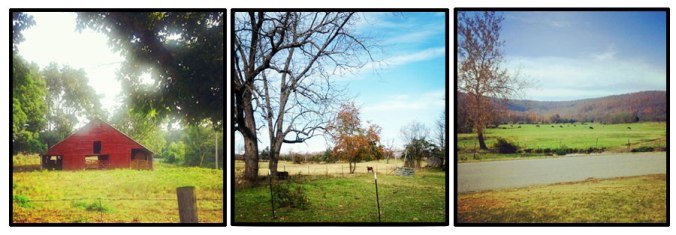 Pictures of Mountain View