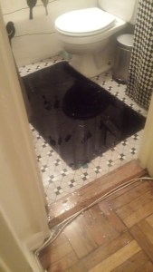 See how the rug is shiny? Rugs aren't shiny, silly! That's standing water!